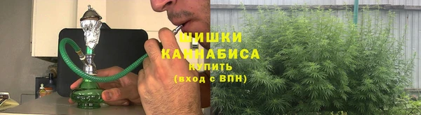 винт Богданович